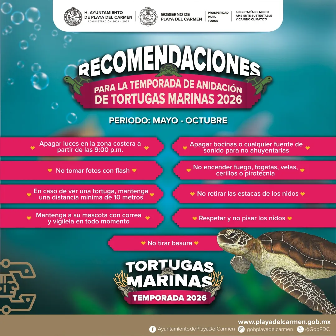 Tortugas Marinas — Ayto. PdC