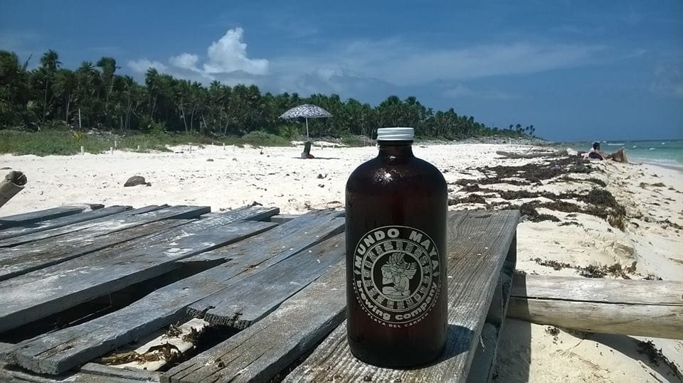 Cerveza Artesanal
