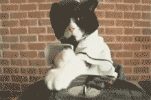 playa_del_carmen_soy_playense_gif_dj
