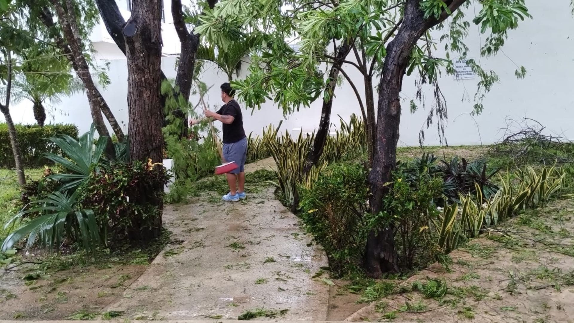 Galería de imágenes de Playa del Carmen después del paso del huracán Beryl