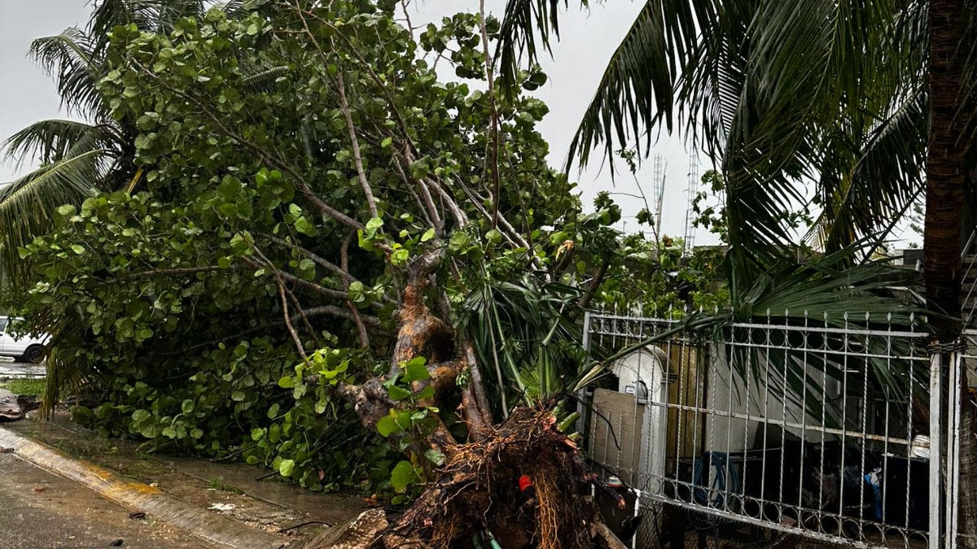 Galería de imágenes de Playa del Carmen después del paso del huracán Beryl