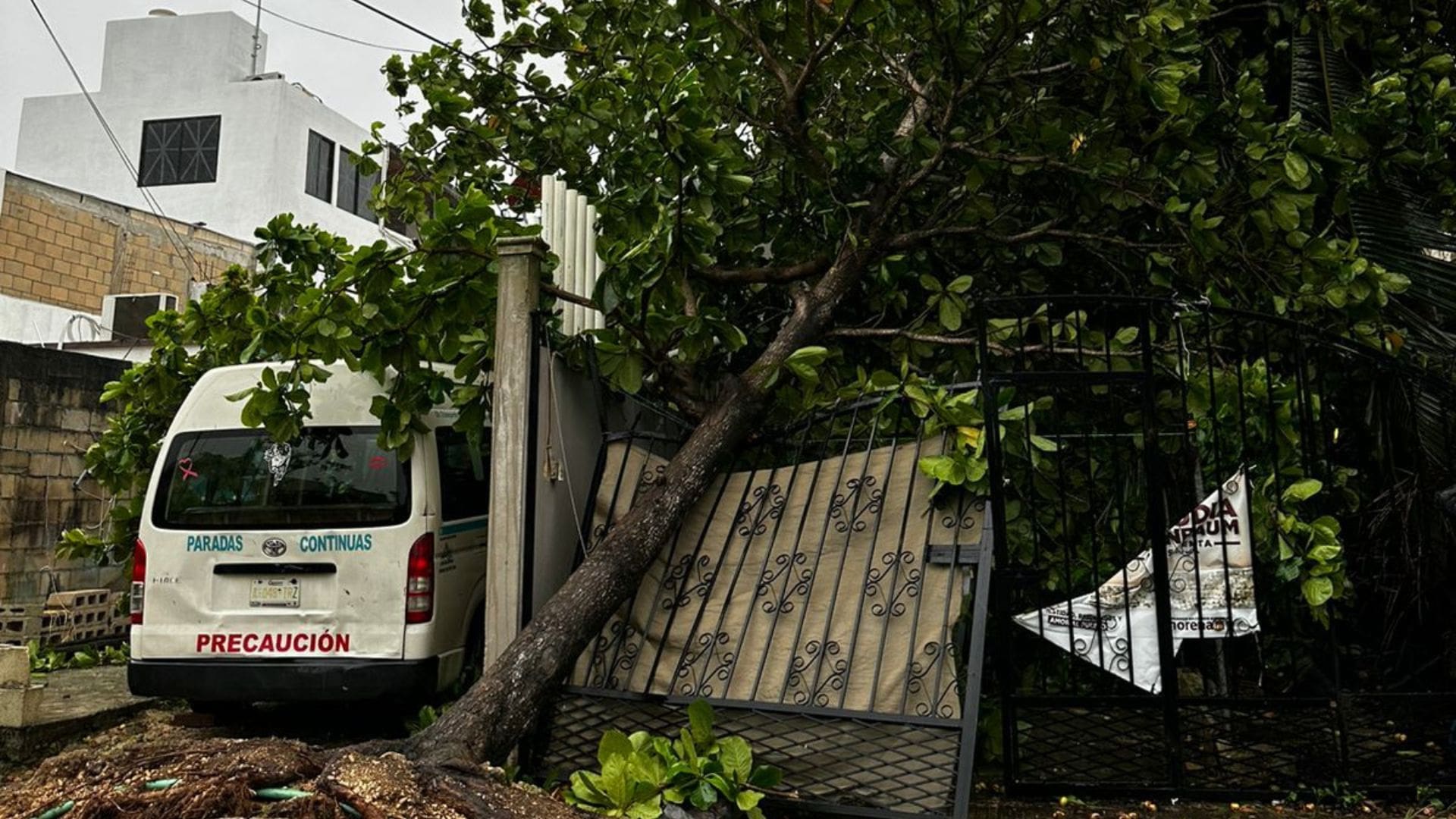 Galería de imágenes de Playa del Carmen después del paso del huracán Beryl