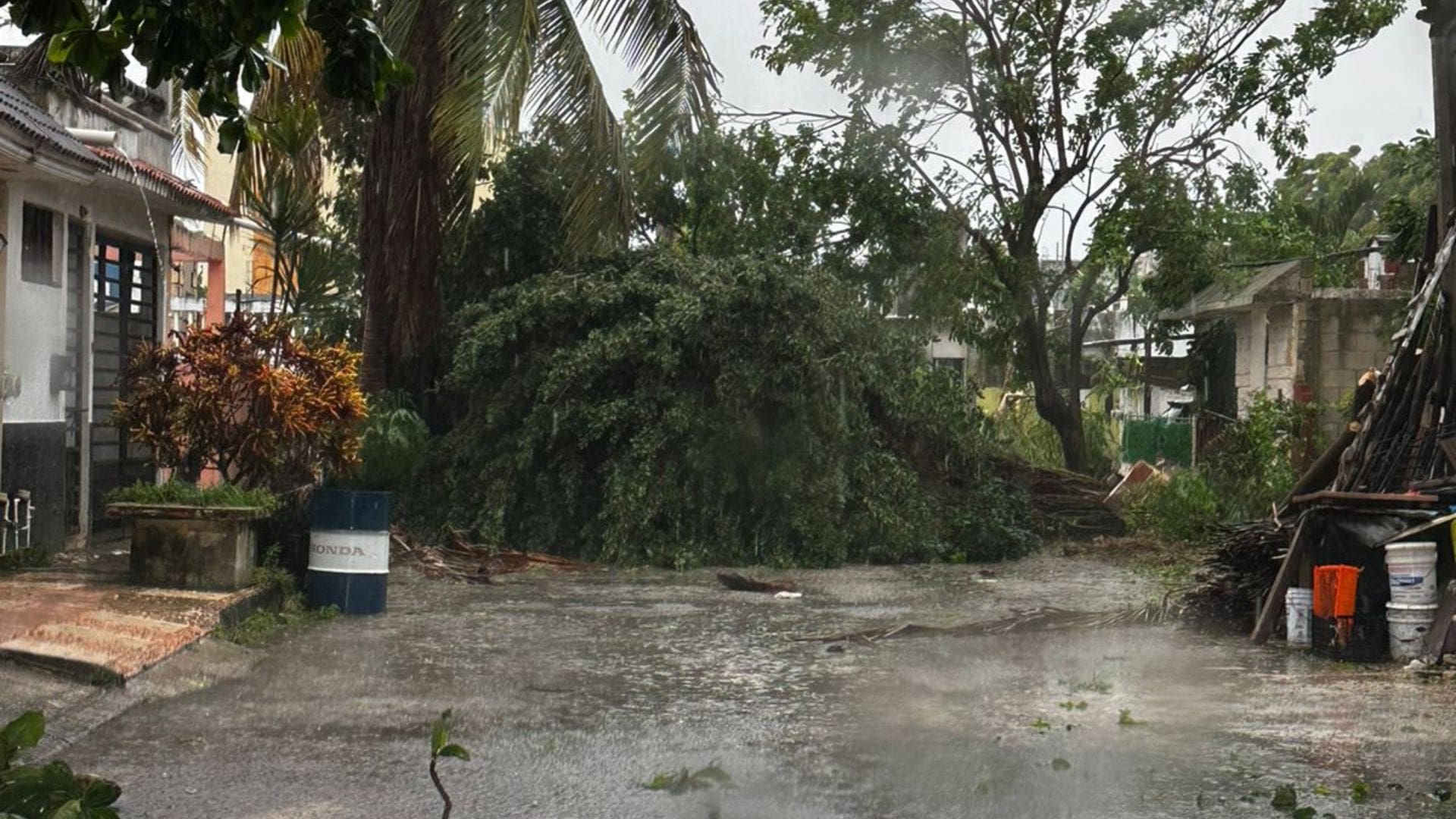 Galería de imágenes de Playa del Carmen después del paso del huracán Beryl