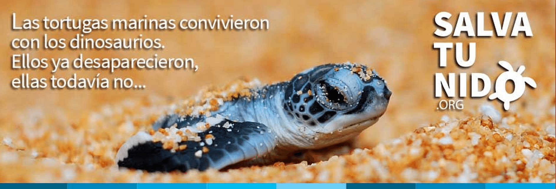 Flora, Fauna y Cultura